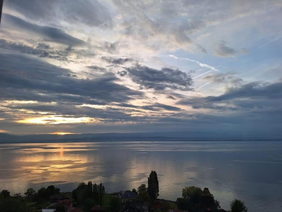 Appartement Avec Vue 180 Sur Le Lac Leman 또농-레-방 외부 사진