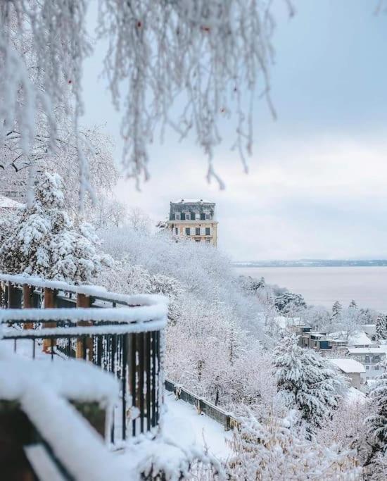 Appartement Avec Vue 180 Sur Le Lac Leman 또농-레-방 외부 사진